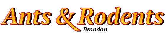 Brandon Ant Exterminator & Rodent Control Company Logo